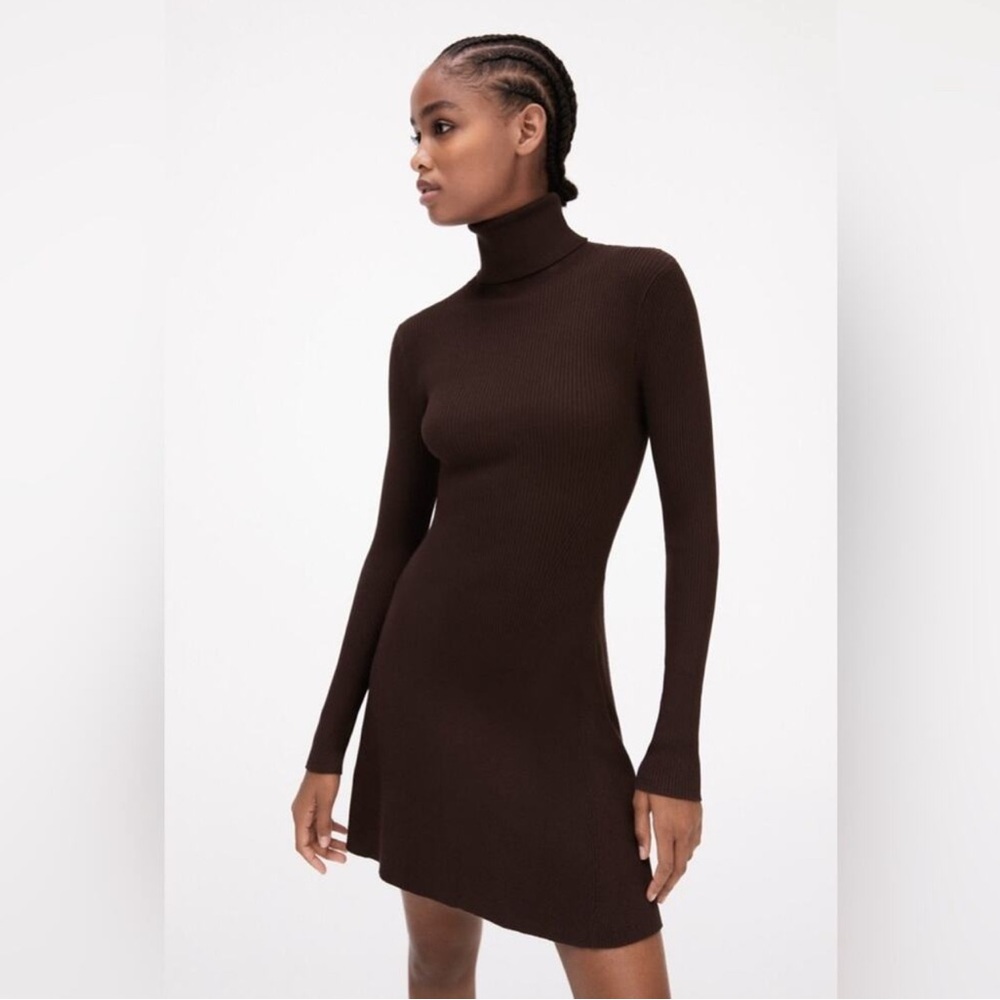 Zara Brown Turtleneck Dress
